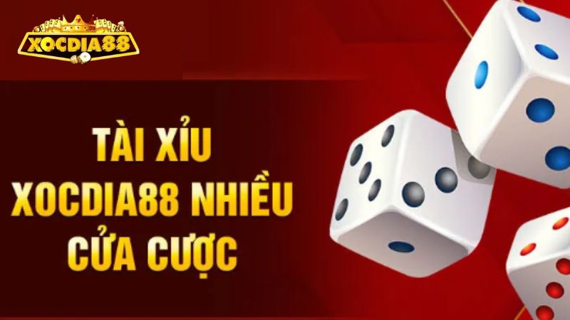 Chia sẻ kinh nghiệm chơi tài xỉu Xocdia88 hiệu quả